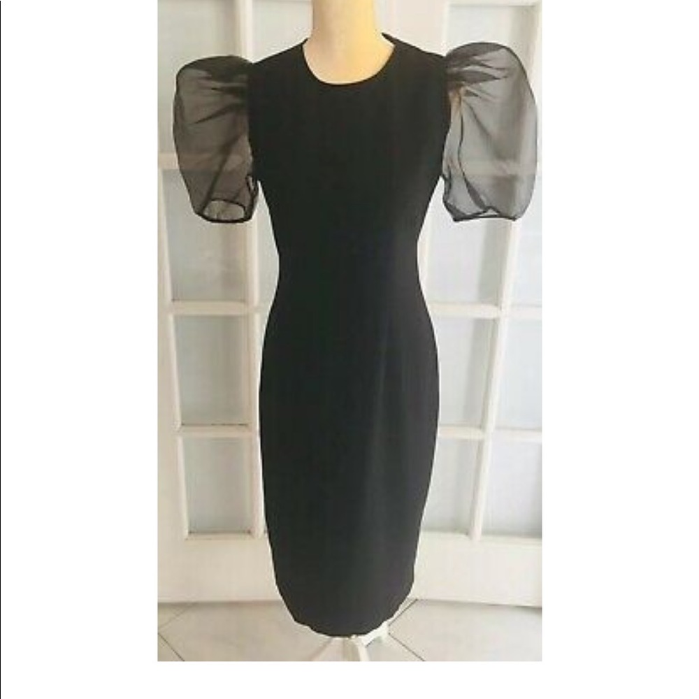 Organza sleeve dress